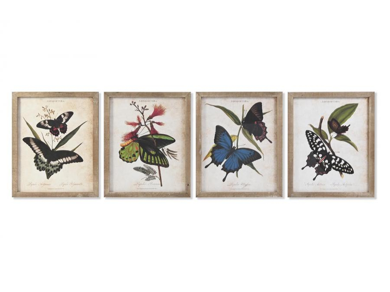 QUADRO ABETE FARFALLE 40X2X50CM ASS. CU-199347 QUADRO ABETE FARFALLE 40X2X50CM ASS. CU-199347