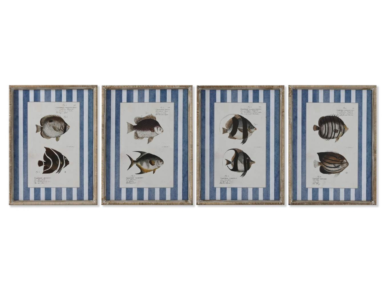 QUADRO PESCE 40X2.5X55CM ASS. CU-218041 QUADRO PESCE 40X2.5X55CM ASS. CU-218041