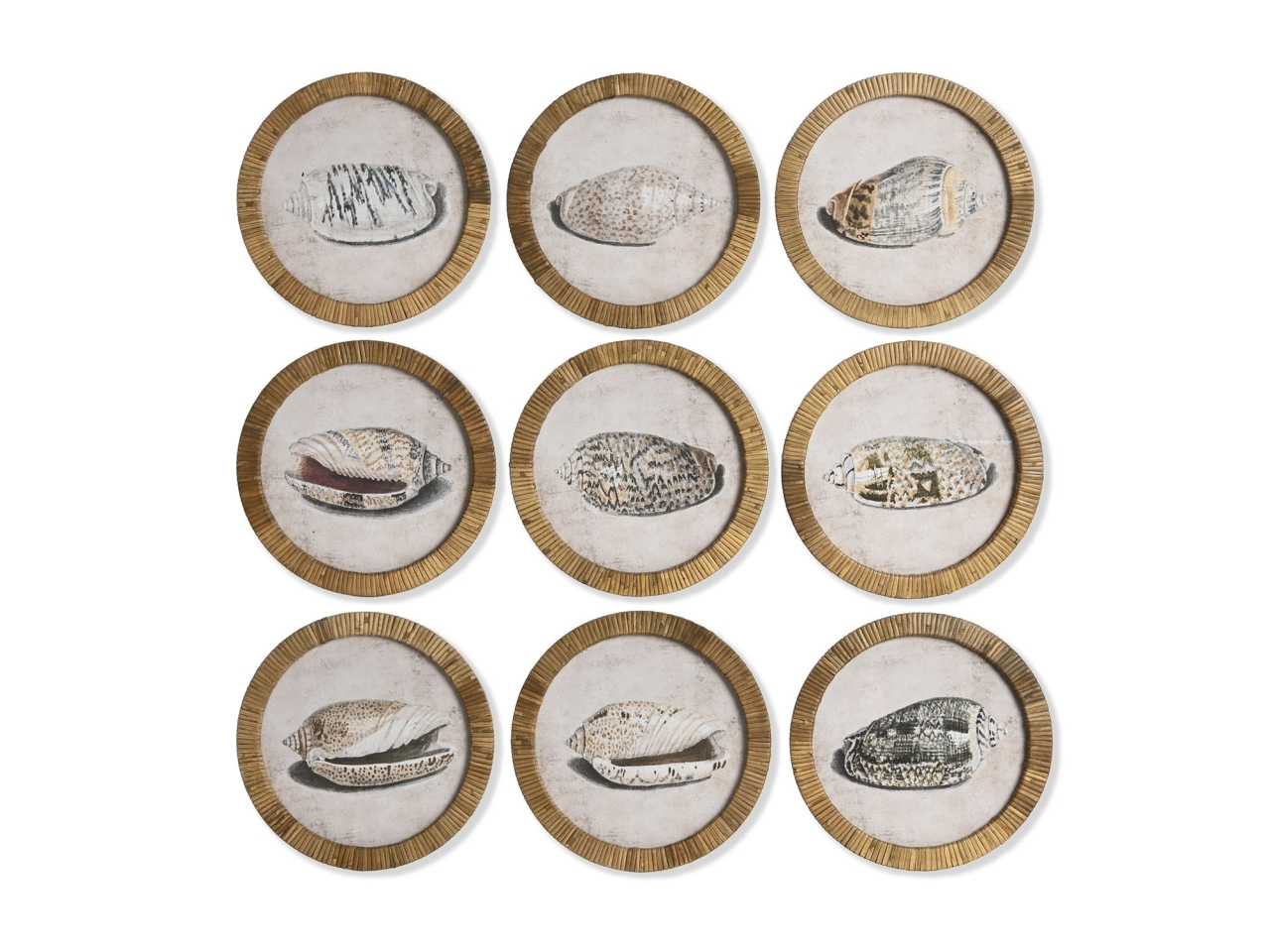 QUADRO RATTAN CARACOLA 30X2X30CM CU-218481 QUADRO RATTAN CARACOLA 30X2X30CM CU-218481