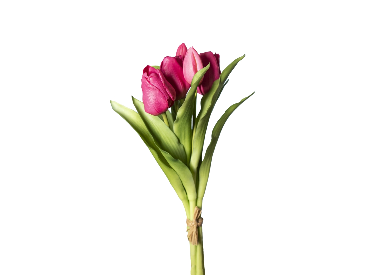 MAZZO TULIPANI REAL TOUCH 30CM FUCSIA 18120009-57 MAZZO TULIPANI REAL TOUCH 30CM FUCSIA 18120009-57