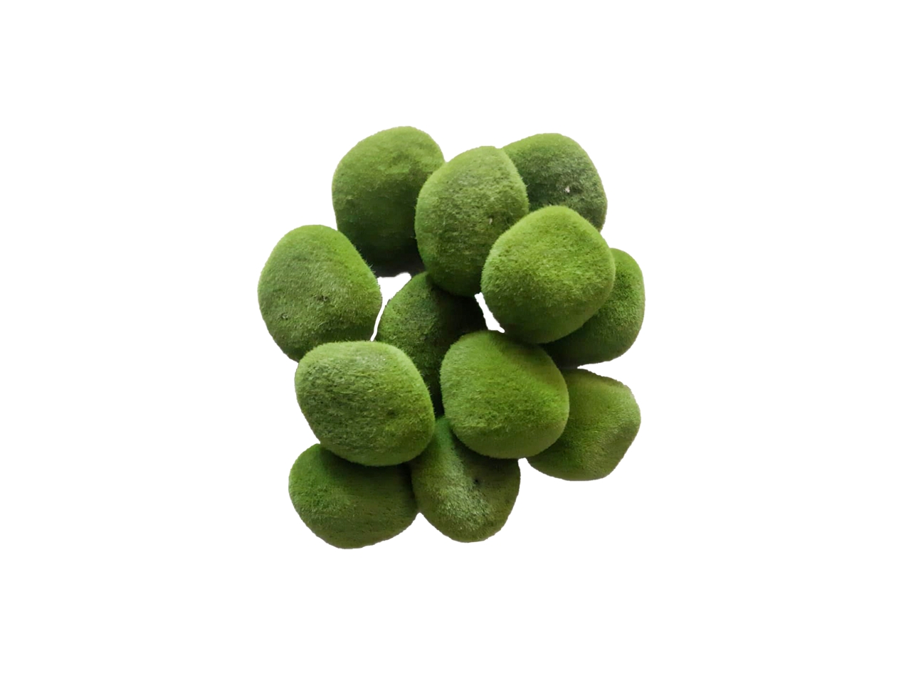 PIETRE CON MUSCHIO VERDE 8CM 12PZE 11010004-01