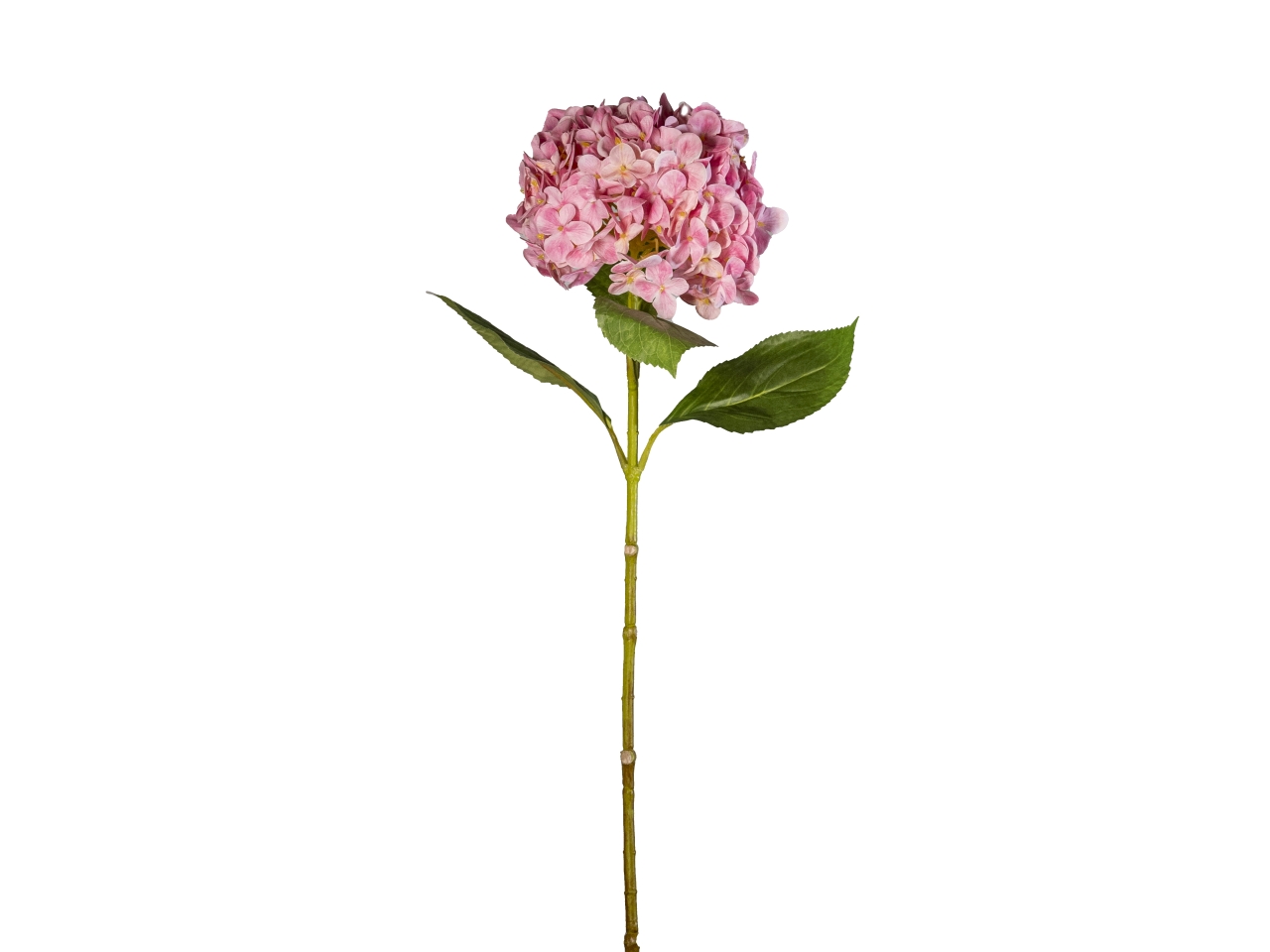 ORTENSIA REAL TOUCH 70CM ROSA 18210006-91