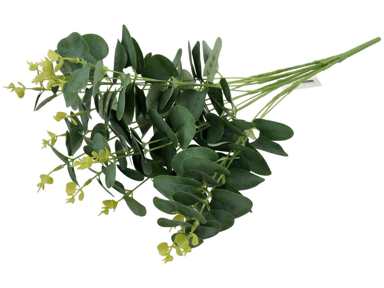 MAZZETTO DI EUCALIPTO VERDE NATURALE 2680179-00 MAZZETTO DI EUCALIPTO VERDE NATURALE 2680179-00