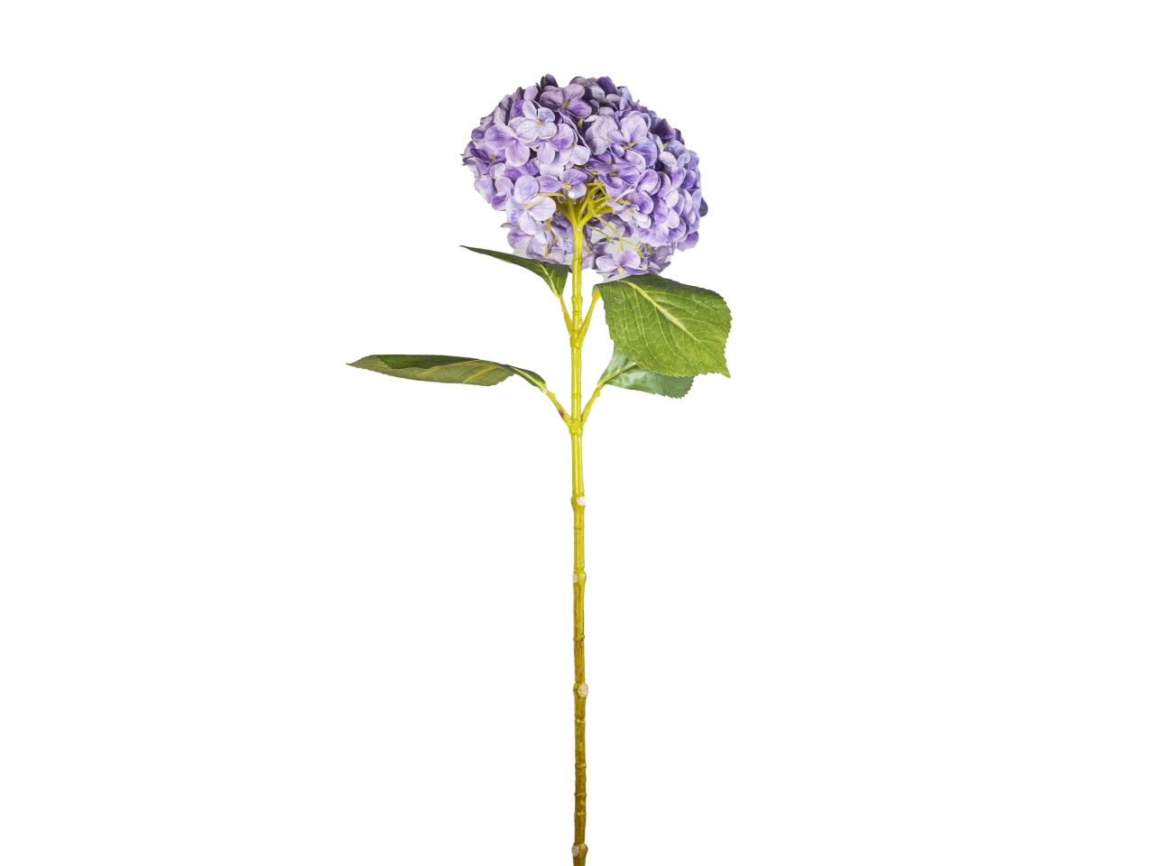 ORTENSIA REAL TOUCH 70CM LAVANDA 18210006-17