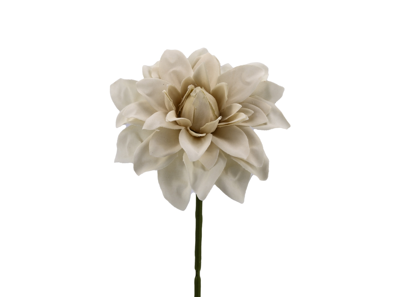 DALIA PICCOLA 6PZ BEIGE CK9055 BEI DALIA PICCOLA 6PZ BEIGE CK9055 BEI