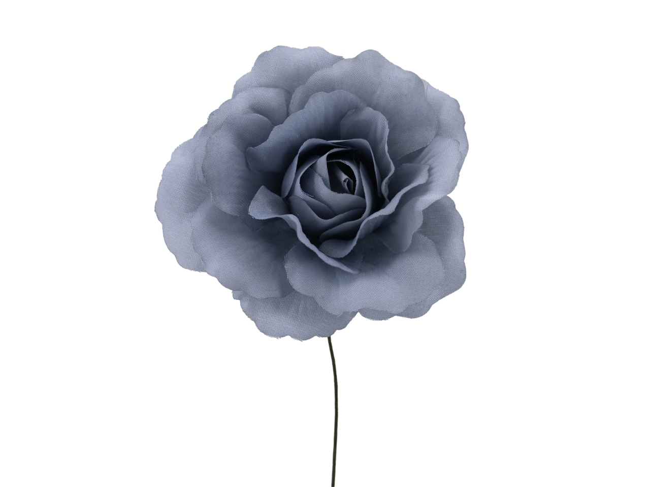 ROSA APERTA D.8CM 6PZ CELESTE SC53 CS ROSA APERTA D.8CM 6PZ CELESTE SC53 CS