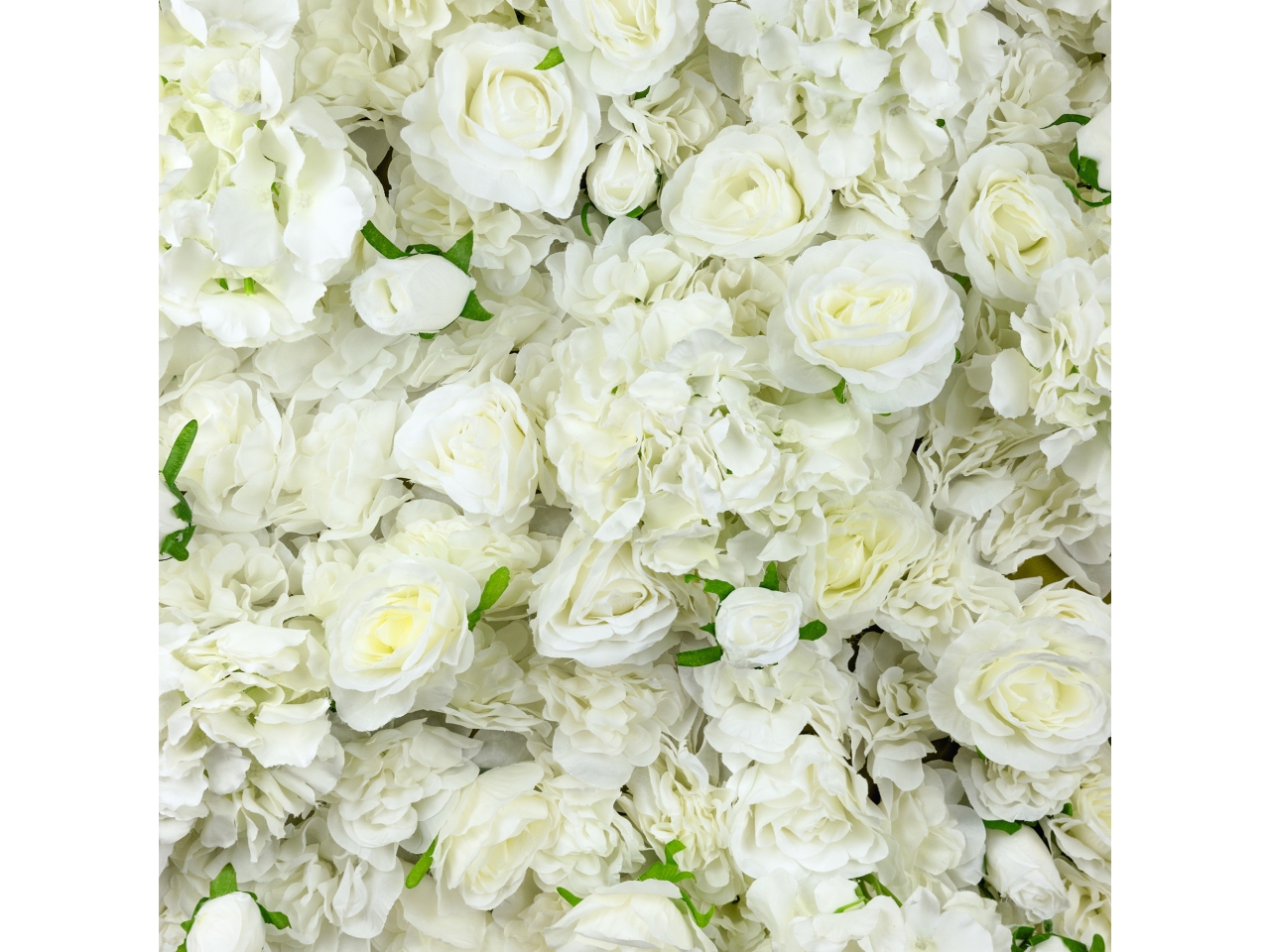 PANNELLO FIORI MISURA 100X100CM PANNA PN100X100 PN PANNELLO FIORI MISURA 100X100CM PANNA PN100X100 PN