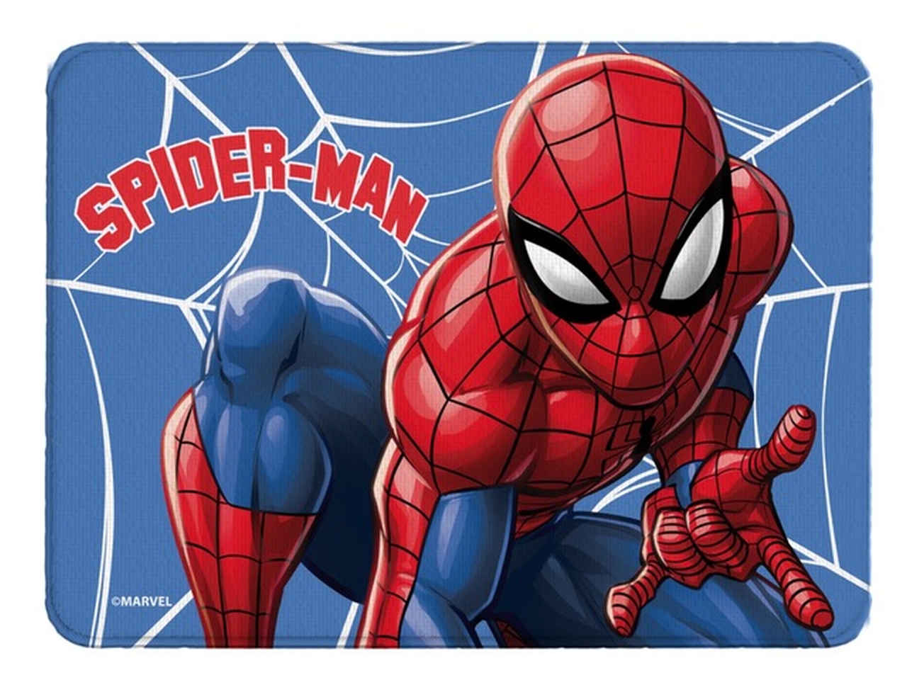 TOVAGLIETTA IN TESSUTO 40X30CM SP1164