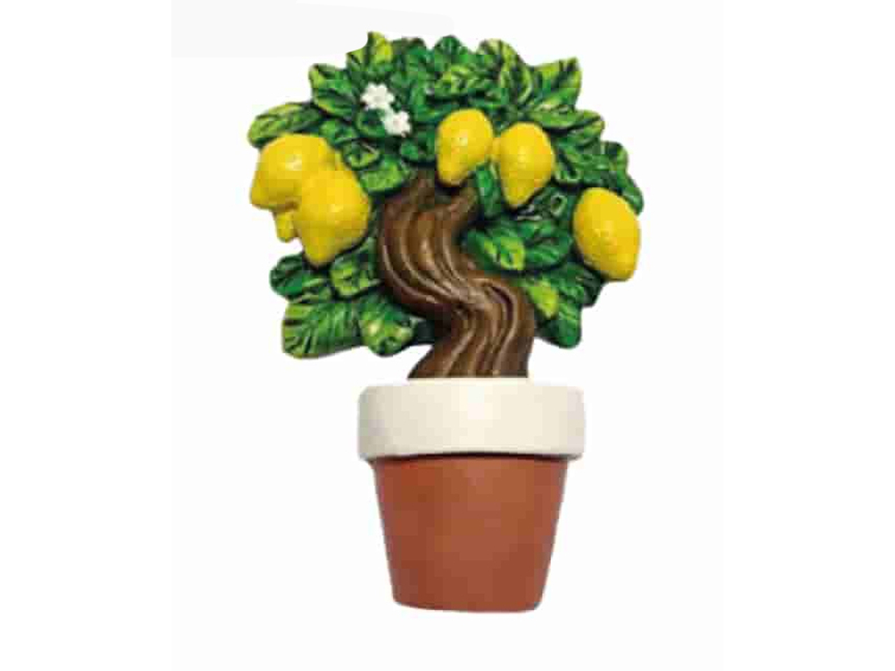 MAGNETE FICO D`INDIA REGE 19 MAGNETE FICO D`INDIA REGE 19