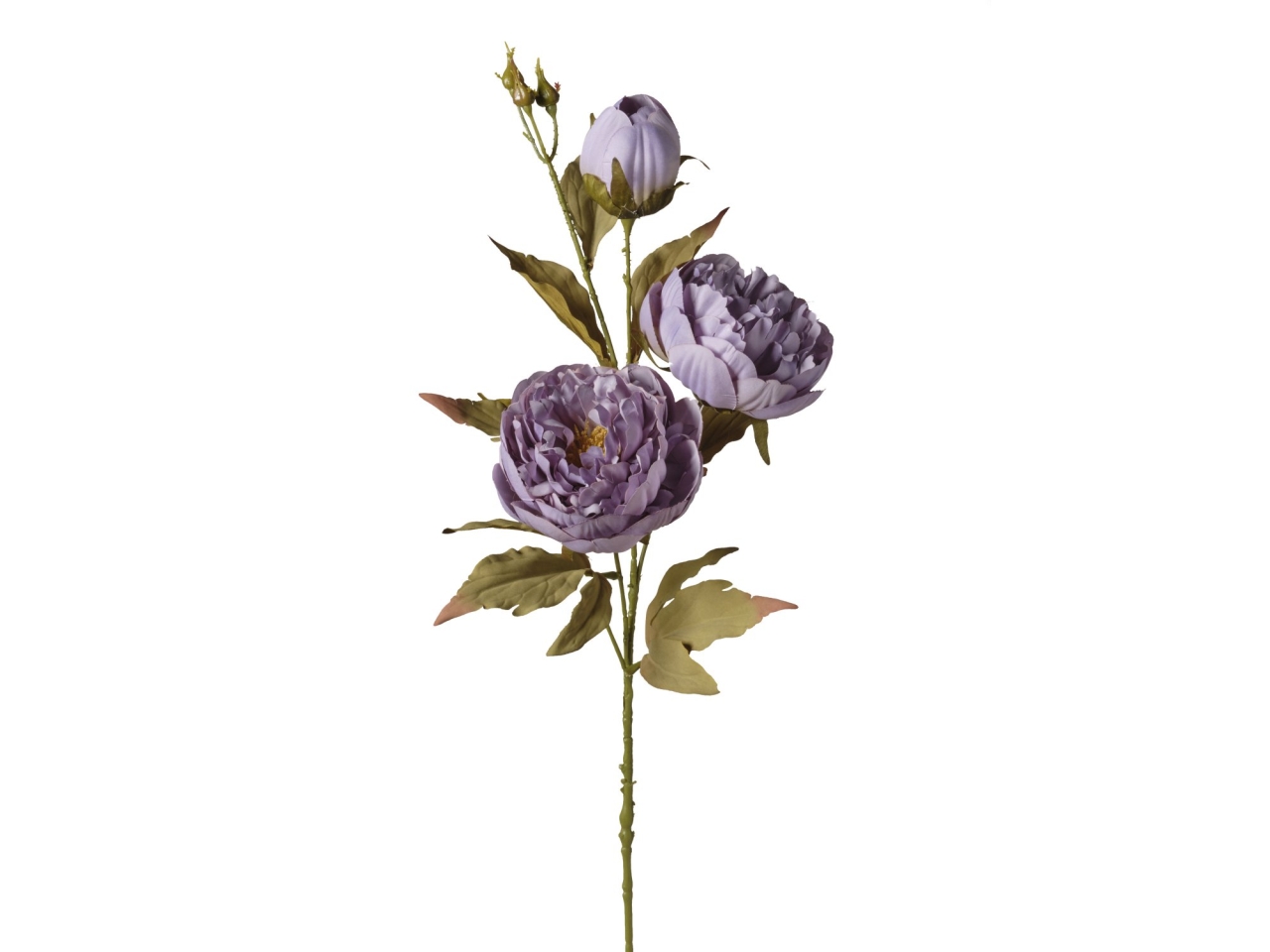 RAMO PEONIE X3 TESTE 80CM BLU ANTICO 2FQS8 012 RAMO PEONIE X3 TESTE 80CM BLU ANTICO 2FQS8 012