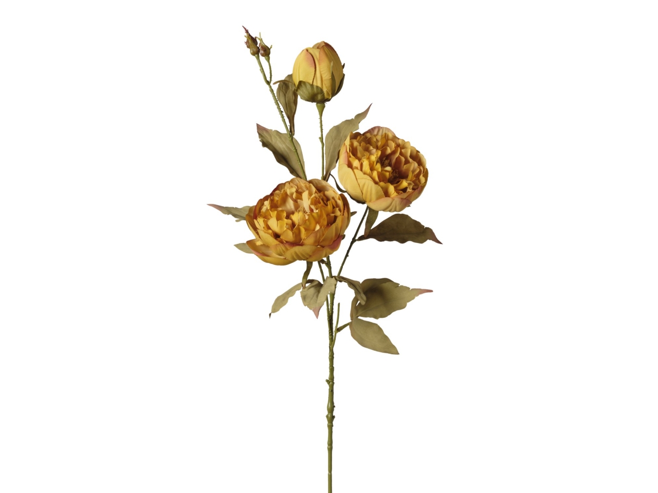 RAMO PEONIE X3 TESTE 80CM MOSTARDA 2FQS8 479 RAMO PEONIE X3 TESTE 80CM MOSTARDA 2FQS8 479