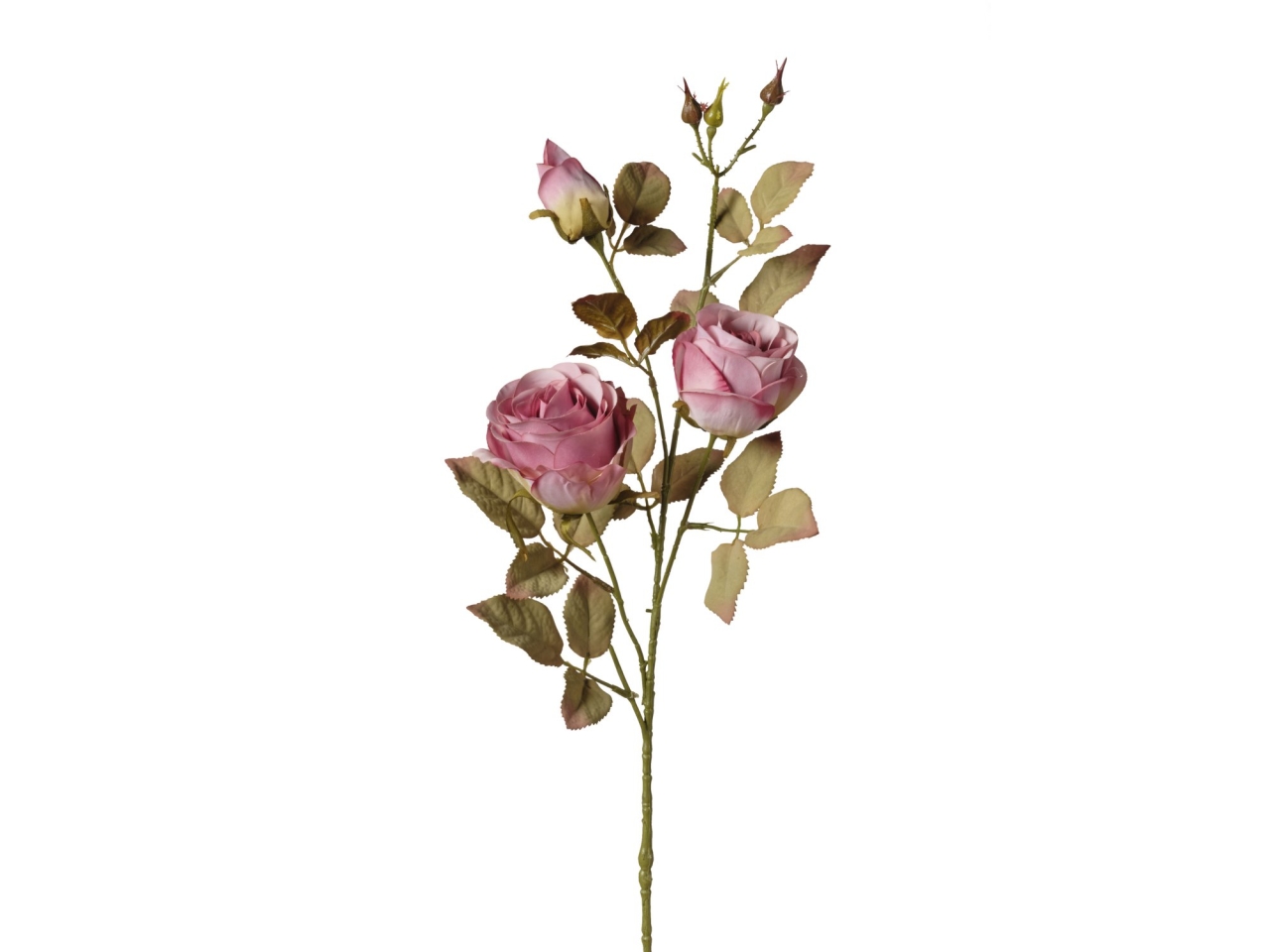 RAMO ROSE X3 TESTE 82CM LAVANDA ANTICO 2FQS16 151 RAMO ROSE X3 TESTE 82CM LAVANDA ANTICO 2FQS16 151