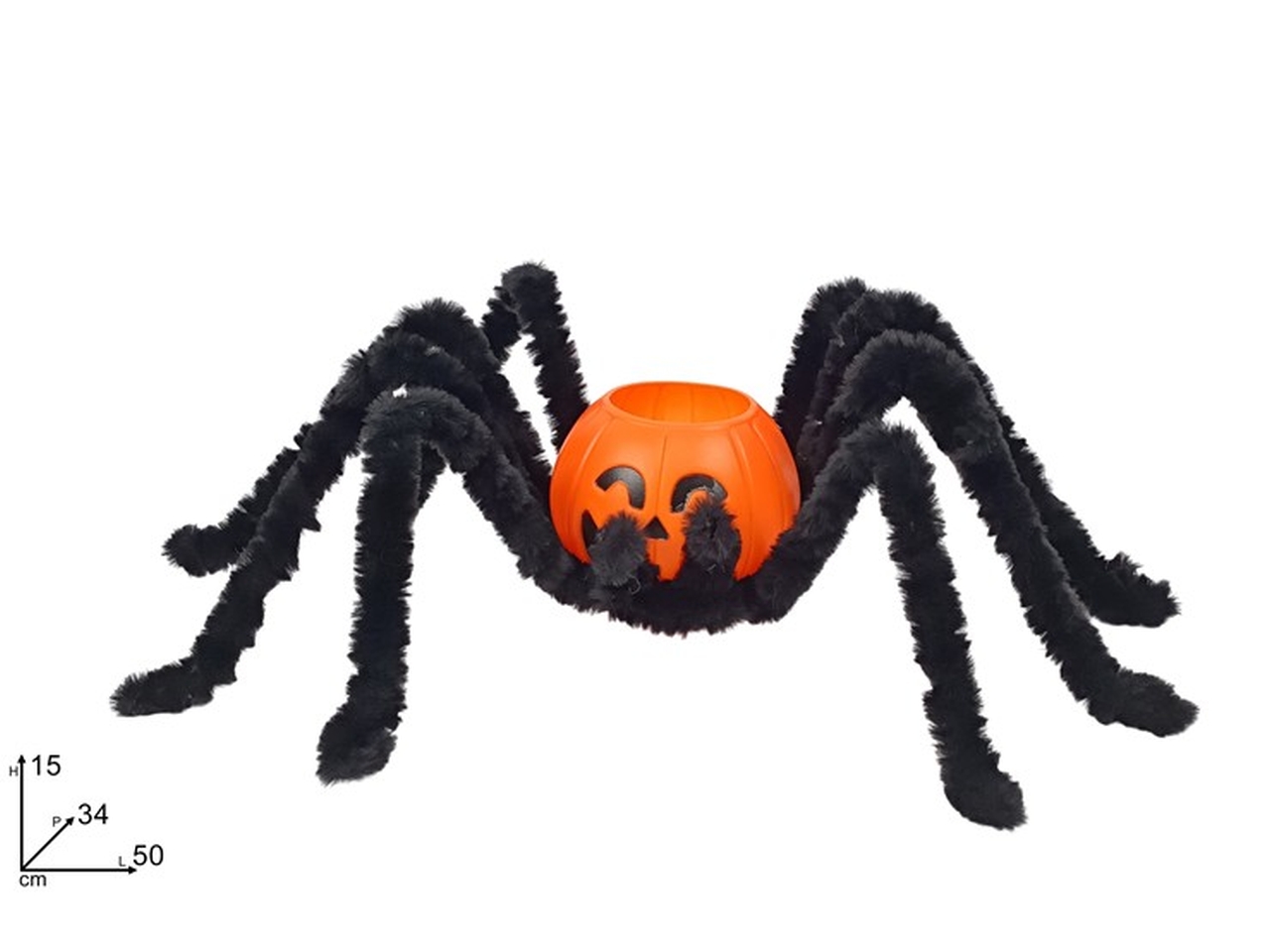 RAGNO C/CONTENITORE ZUCCA XHW24004071