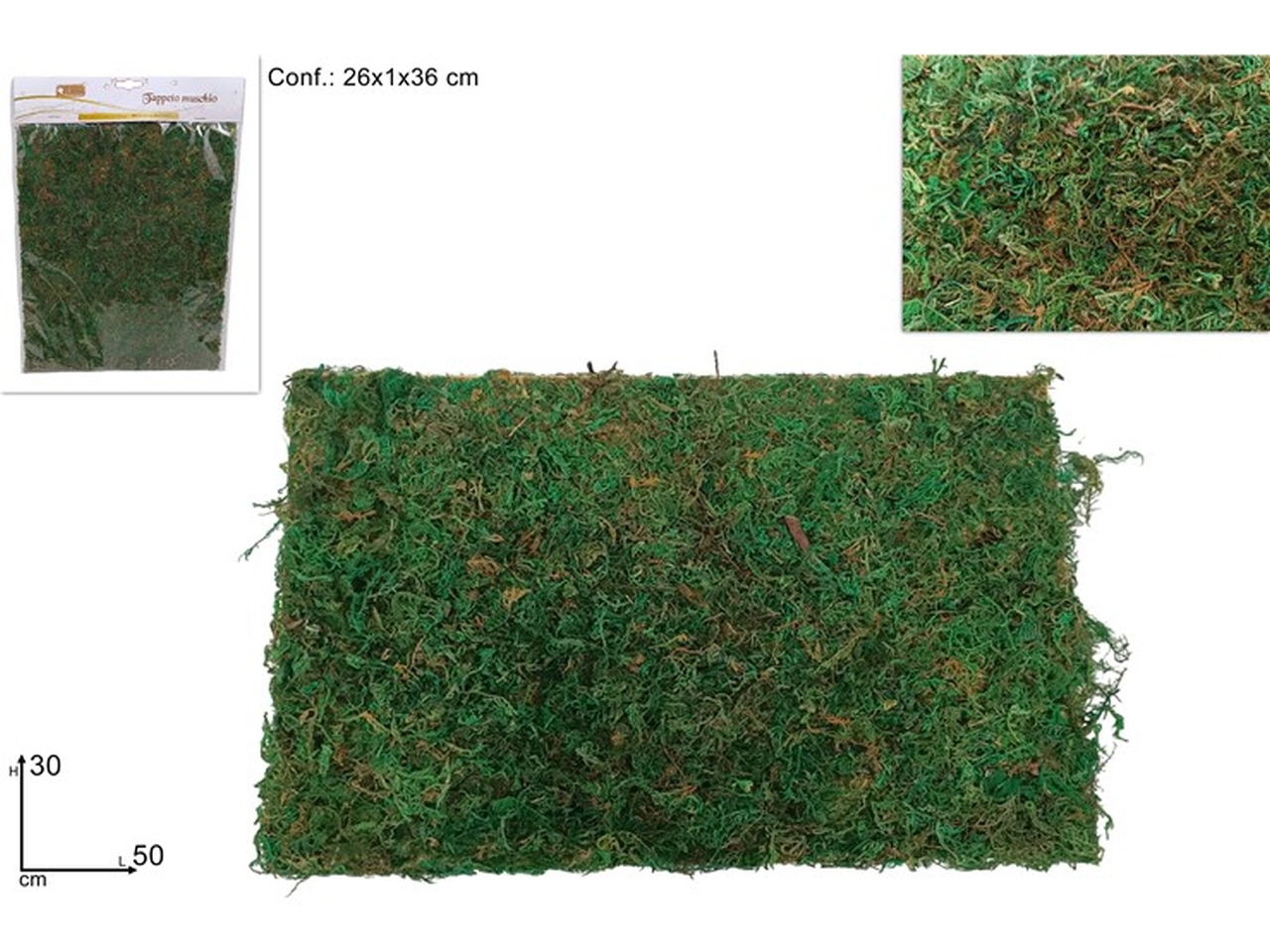 TAPPETO MUSCHIO 30X50CM XNA24050541 TAPPETO MUSCHIO 30X50CM XNA24050541