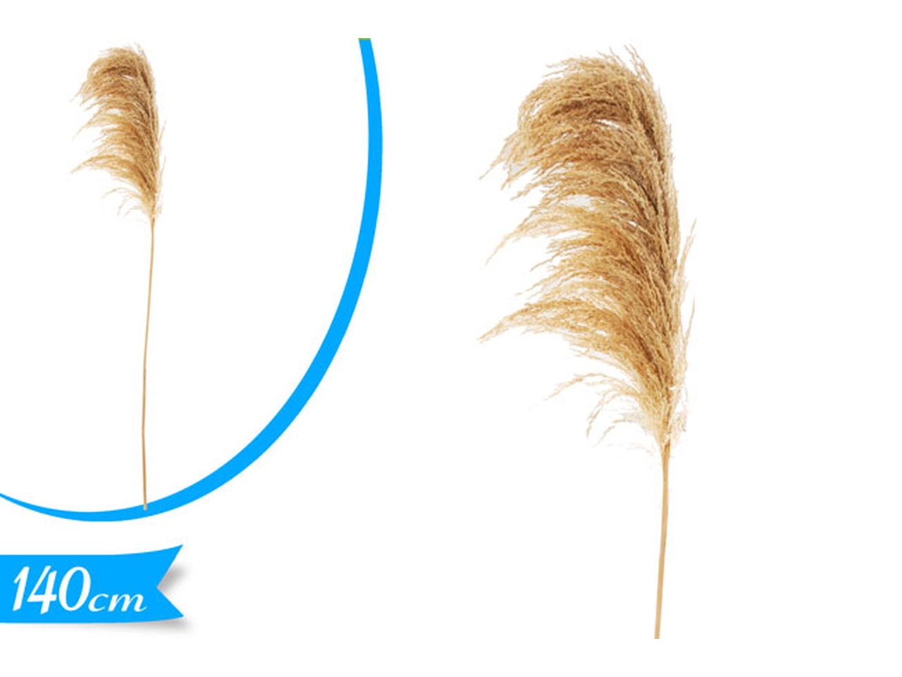 PAMPAS 862870 PAMPAS 862870