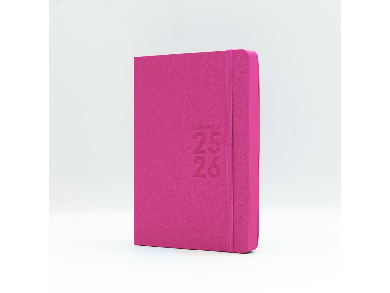 AGENDA 25/26 GIORN. 12X17CMC/ELAS. ROSA 7949MB29