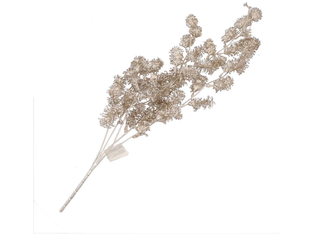 MAZZO MUSCHIO CADENTE 75CM 033 CHAMPAGNE 1NHZ4189C