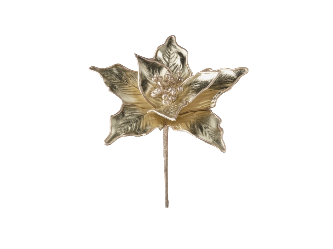 RAMETTO STELLA NATALE 25CM 033 CHAMPAGNE 1NHZ3971 RAMETTO STELLA NATALE 25CM 033 CHAMPAGNE 1NHZ3971