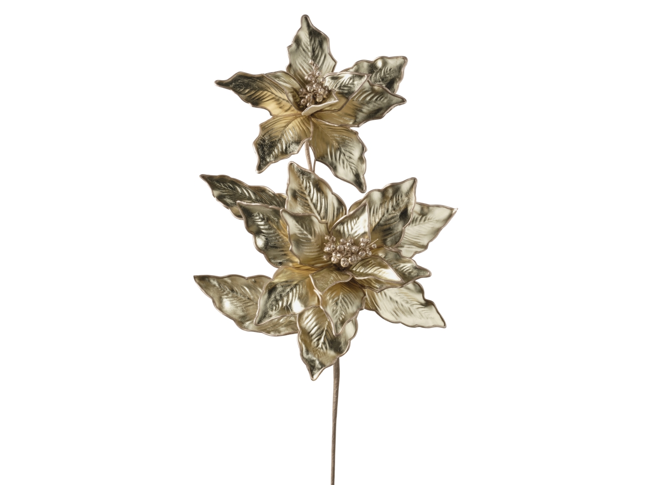 RAMO STELLA NATALE X2 86CM 033 CHAMPAGNE 1NHZ3969 RAMO STELLA NATALE X2 86CM 033 CHAMPAGNE 1NHZ3969