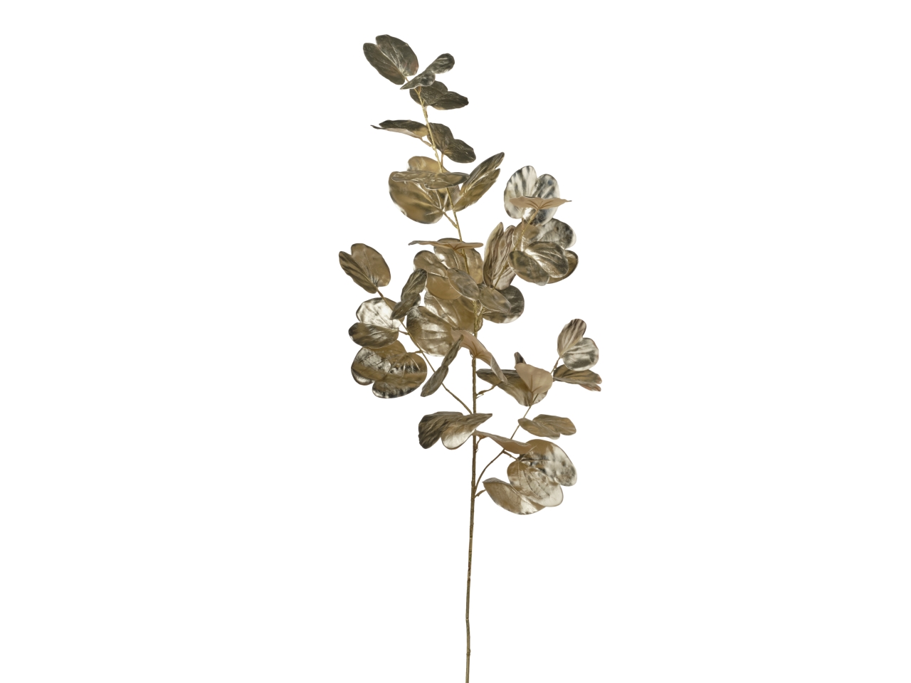 RAMO EUCALIPTO 118CM 033 CHAMPAGNE 1NHZ4256 RAMO EUCALIPTO 118CM 033 CHAMPAGNE 1NHZ4256