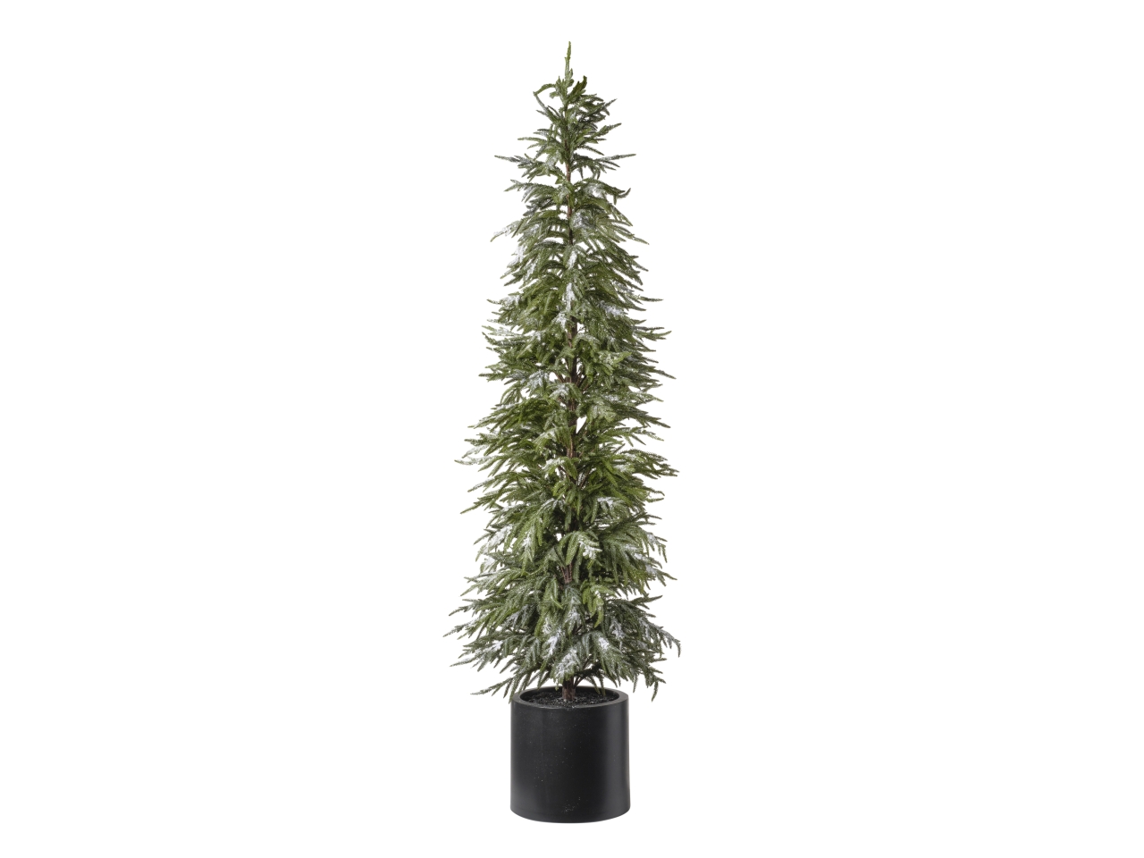 ALBERO PINO CON NEVE H.213CM 889 SNOWED 1NV3207 ALBERO PINO CON NEVE H.213CM 889 SNOWED 1NV3207
