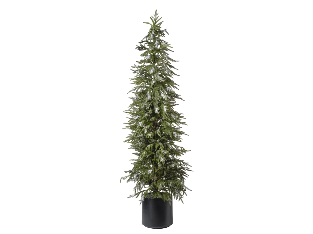 ALBERO PINO CON NEVE H.183CM 889 SNOWED 1NV3213 ALBERO PINO CON NEVE H.183CM 889 SNOWED 1NV3213