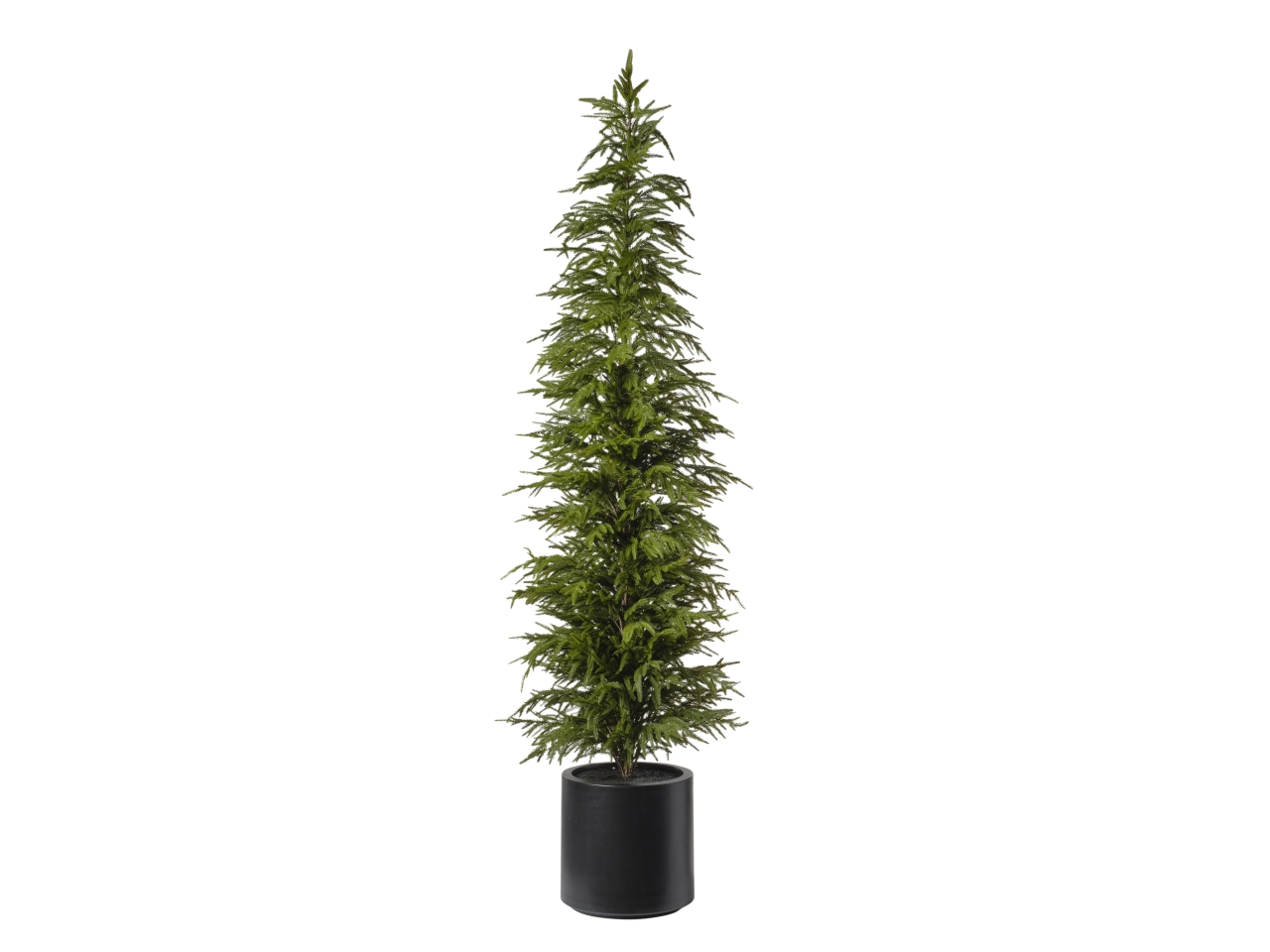 ALBERO PINO CON VASO H.213CM 093 VERDE 1NV3214 ALBERO PINO CON VASO H.213CM 093 VERDE 1NV3214