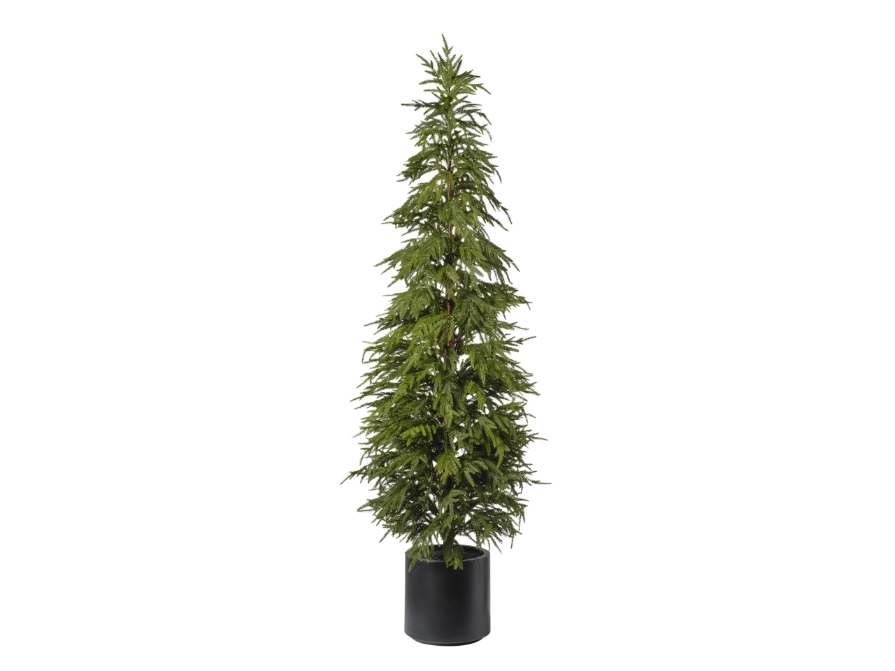 ALBERO PINO CON VASO H.183CM 093 VERDE 1NV3212 ALBERO PINO CON VASO H.183CM 093 VERDE 1NV3212