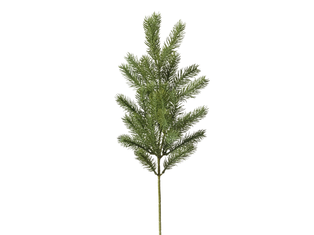 RAMO PINO X26 64CM 093 VERDE 1NHZ4121 RAMO PINO X26 64CM 093 VERDE 1NHZ4121