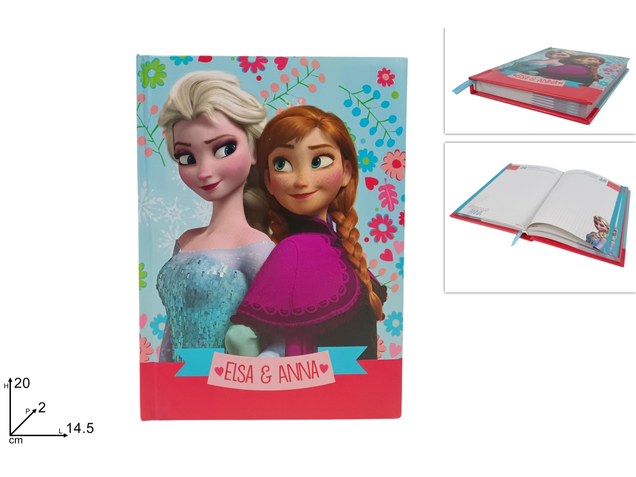 DIARIO SCUOLA ELSA E ANNA 10 MESI DSO25000071
