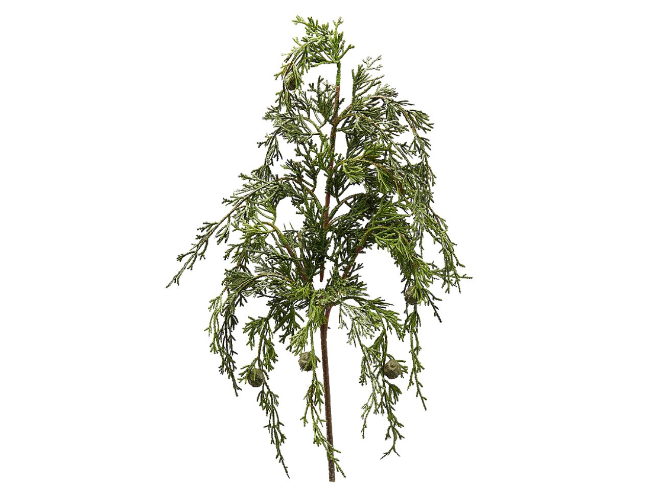 RAMO PINO CADENTE 55CM VERDE 6900037A700