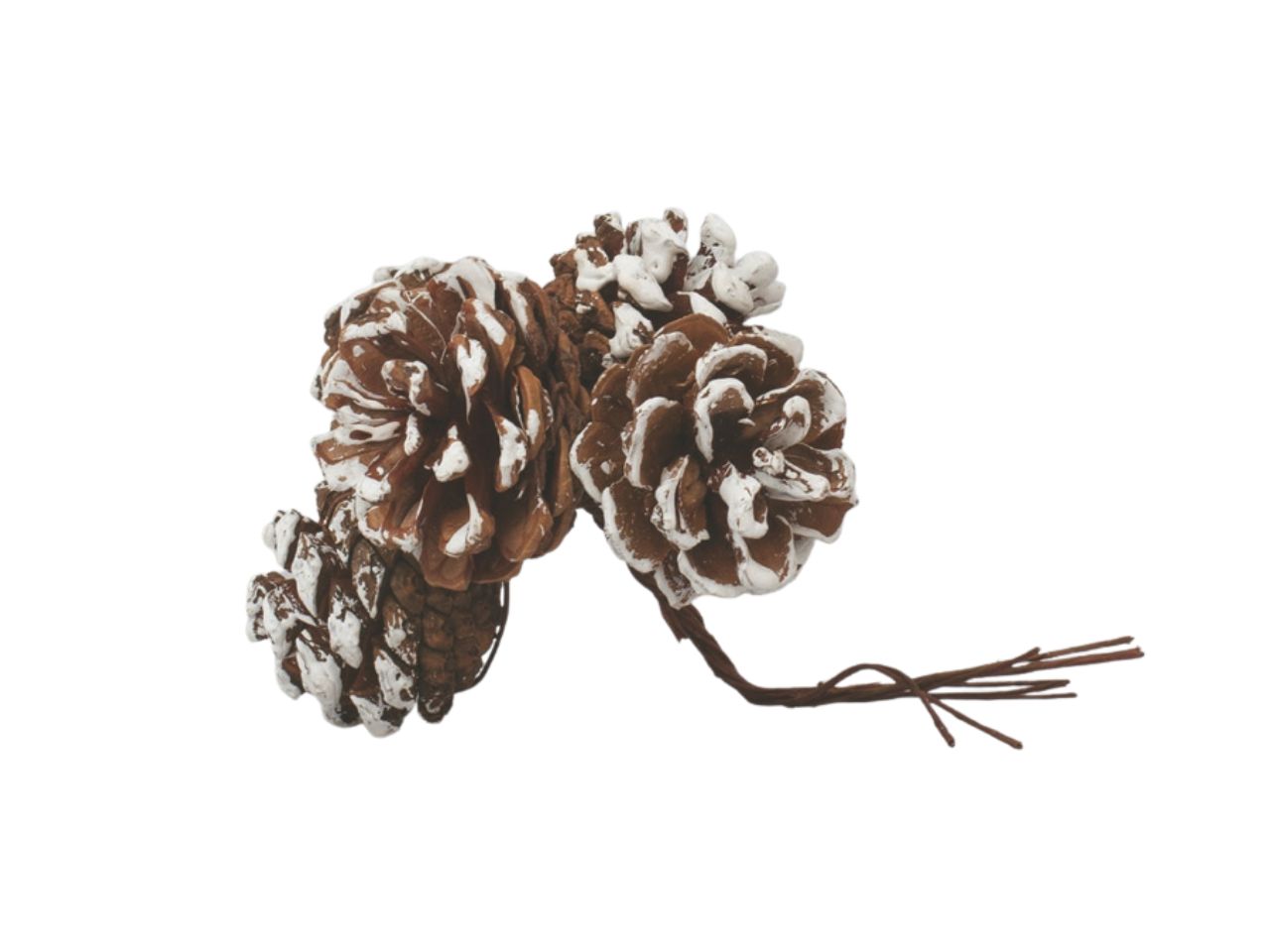 PIGNE INNEVATE 4CM 4PZ FA-39336