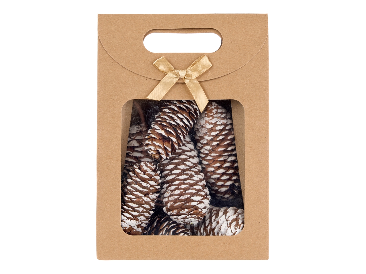 PIGNE 5/9CM NATURALI IN SCATOLA N34951_06