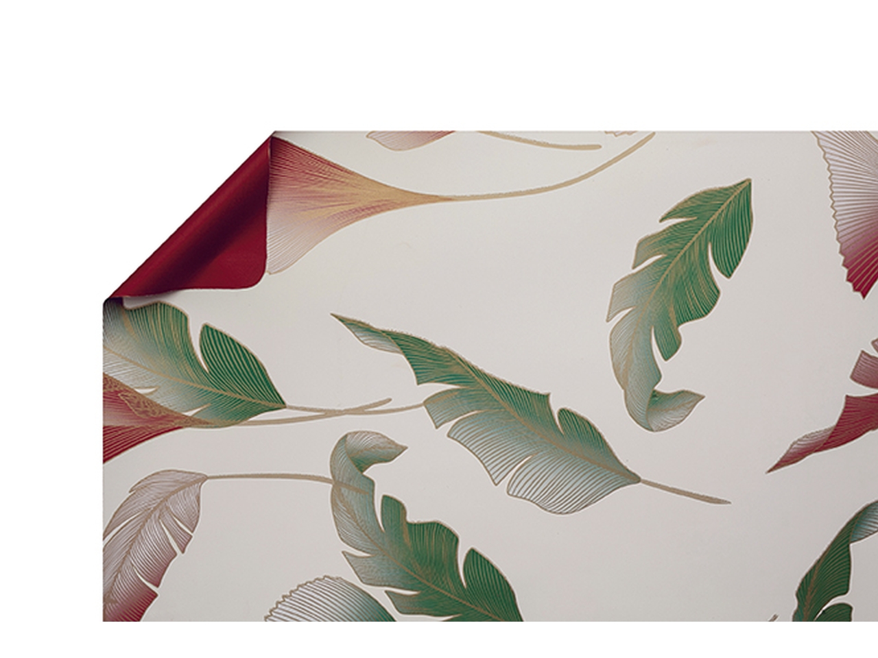 BOBINA CALLA40MY1X25MT AVORIO/BORDO’ B-W07PM-KL2AV