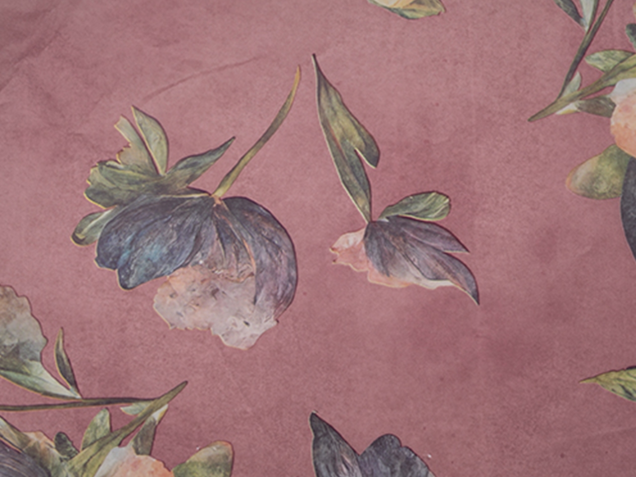 VELINA CARAVAGGIO50X70CM24PZ ROSA F-W03JC-MG9RAY