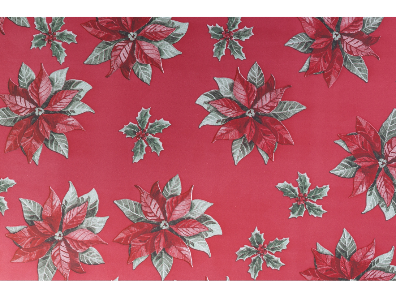 BUSTE STELLA NAT. 25X40CM ROSSO 50PZ X896009254000 BUSTE STELLA NAT. 25X40CM ROSSO 50PZ X896009254000