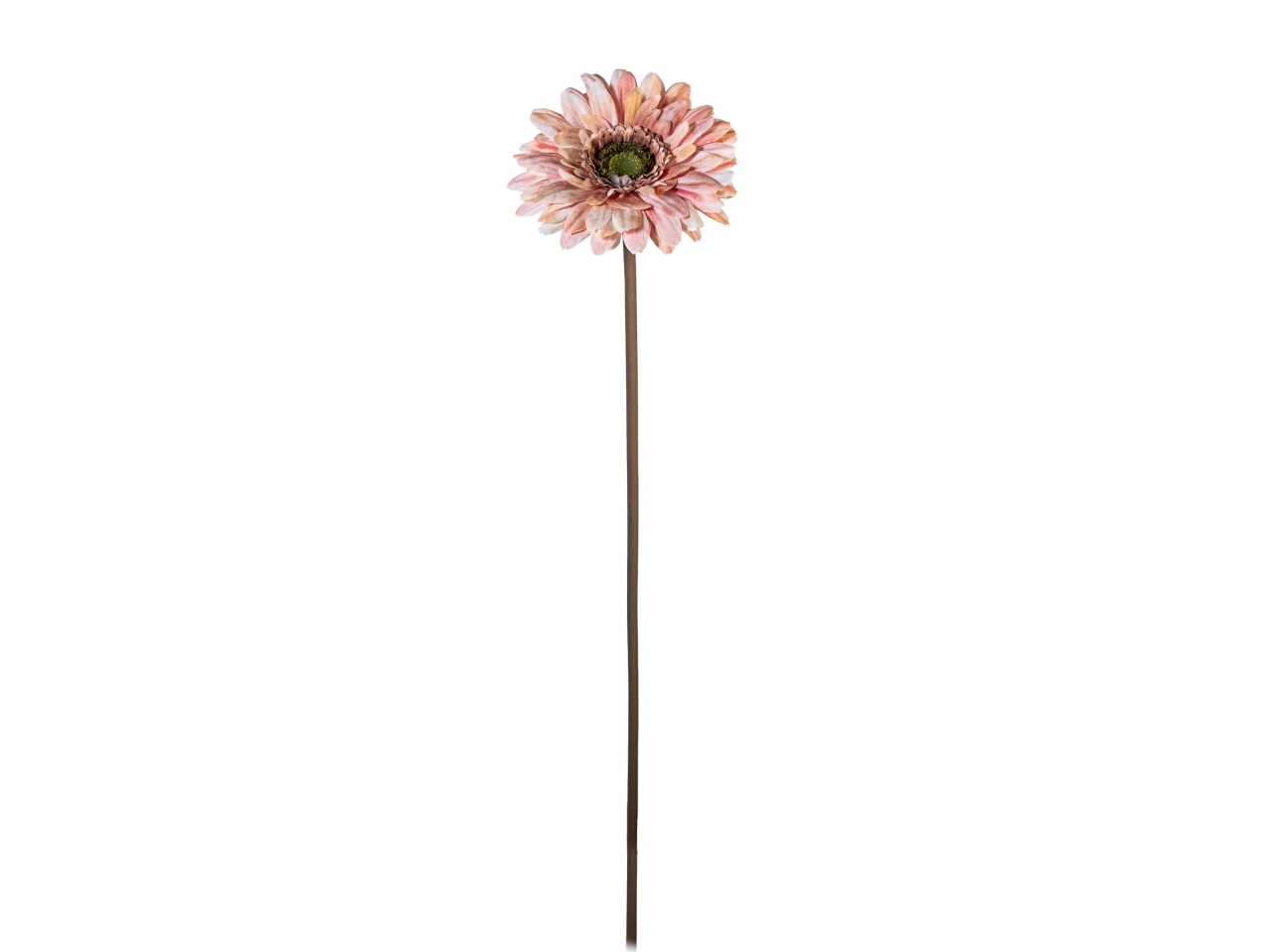 RAMO GERBERA 50CM ROSA ANTICO 18210035-114 RAMO GERBERA 50CM ROSA ANTICO 18210035-114