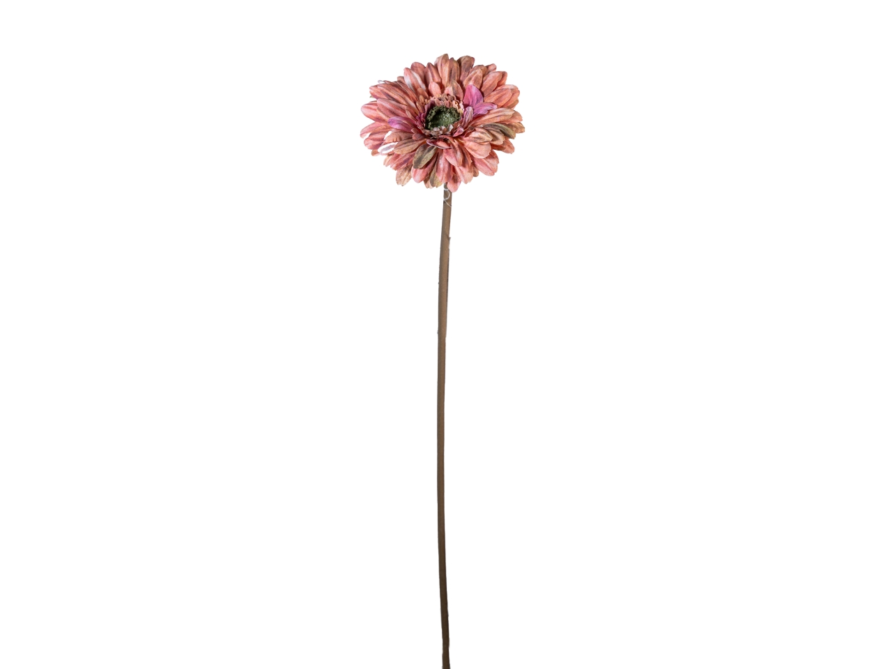 RAMO GERBERA 50CM MALVA 18210035-06 RAMO GERBERA 50CM MALVA 18210035-06