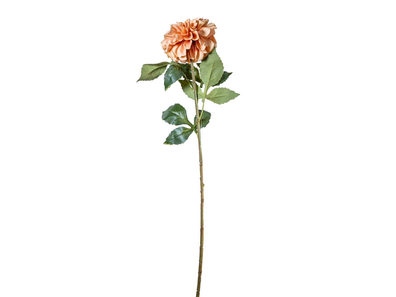 RAMO ZINNIA AUTUNNALE 70CM PESCA 40000013-19 RAMO ZINNIA AUTUNNALE 70CM PESCA 40000013-19