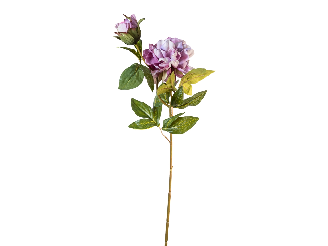 RAMO PEONIA 65CM FIORE+BOCCIOLO MAUVE 40000005-06 RAMO PEONIA 65CM FIORE+BOCCIOLO MAUVE 40000005-06