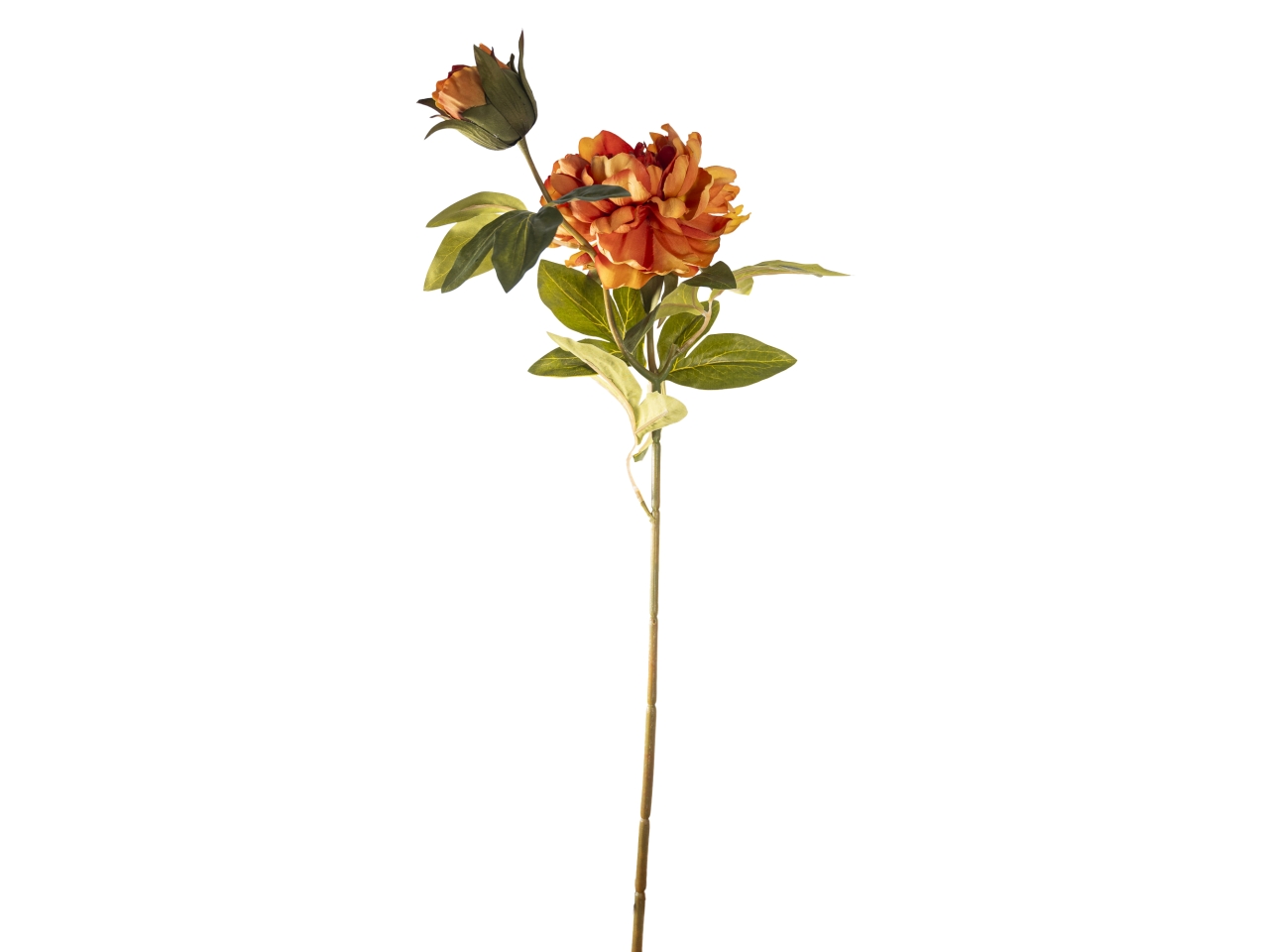 RAMO PEONIA 65CM FIORE+BOCCIOL.ARANCIO40000005-09$ RAMO PEONIA 65CM FIORE+BOCCIOL.ARANCIO40000005-09$