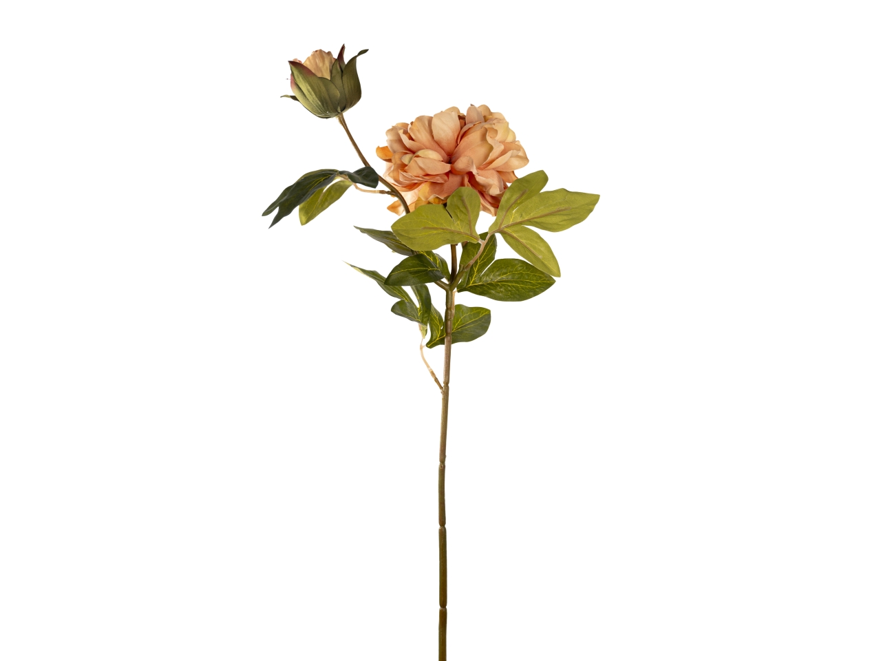 RAMO PEONIA 65CM FIORE+BOCCIOLO PESCA 40000005-19$ RAMO PEONIA 65CM FIORE+BOCCIOLO PESCA 40000005-19$