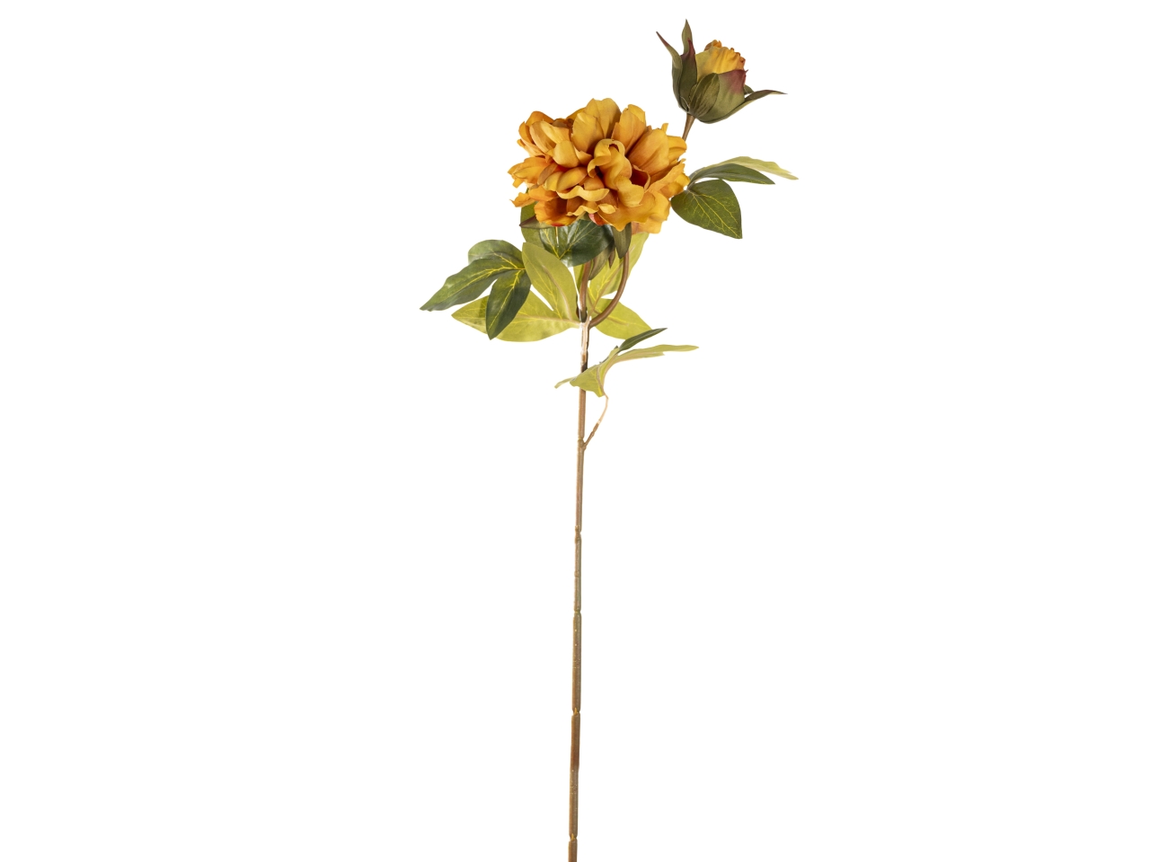RAMO PEONIA 65CM FIORE+BOCCIOLOSENAPE 40000005-34 RAMO PEONIA 65CM FIORE+BOCCIOLOSENAPE 40000005-34