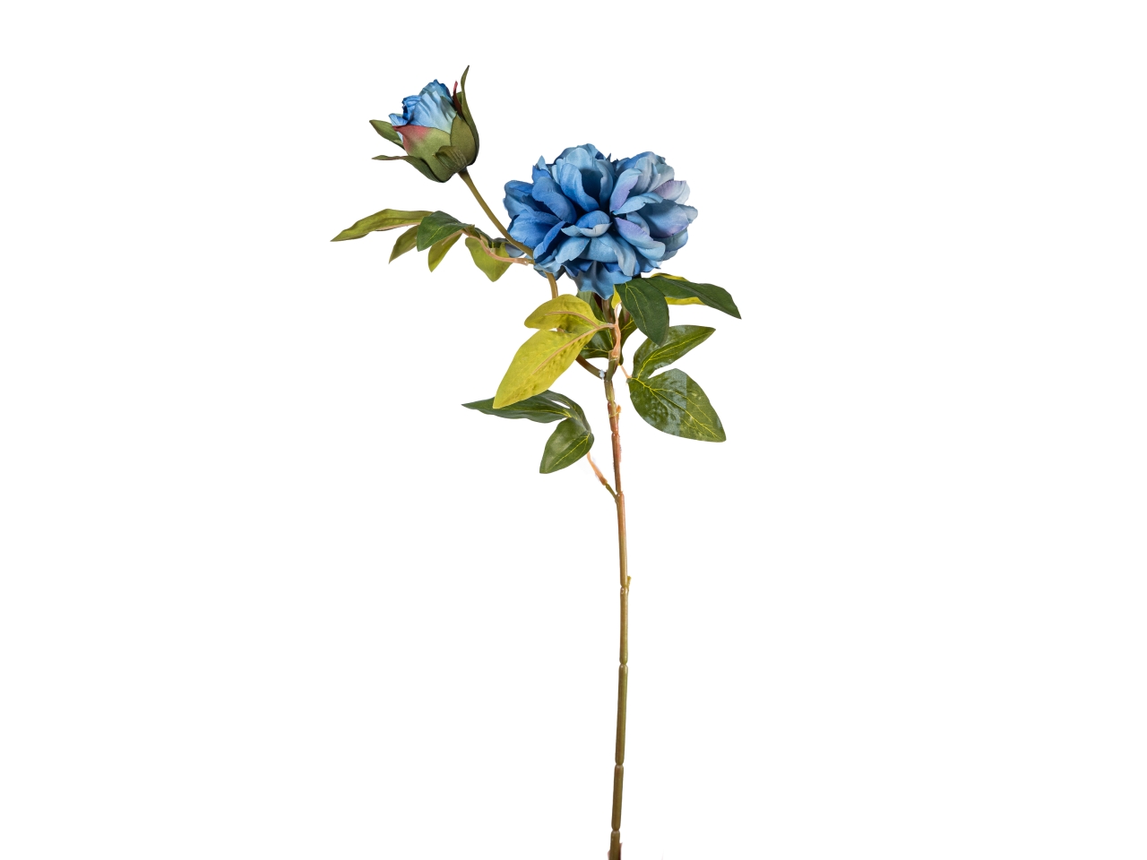 RAMO PEONIA 65CM FIORE+BOCCIOLO BLU 40000005-59$ RAMO PEONIA 65CM FIORE+BOCCIOLO BLU 40000005-59$
