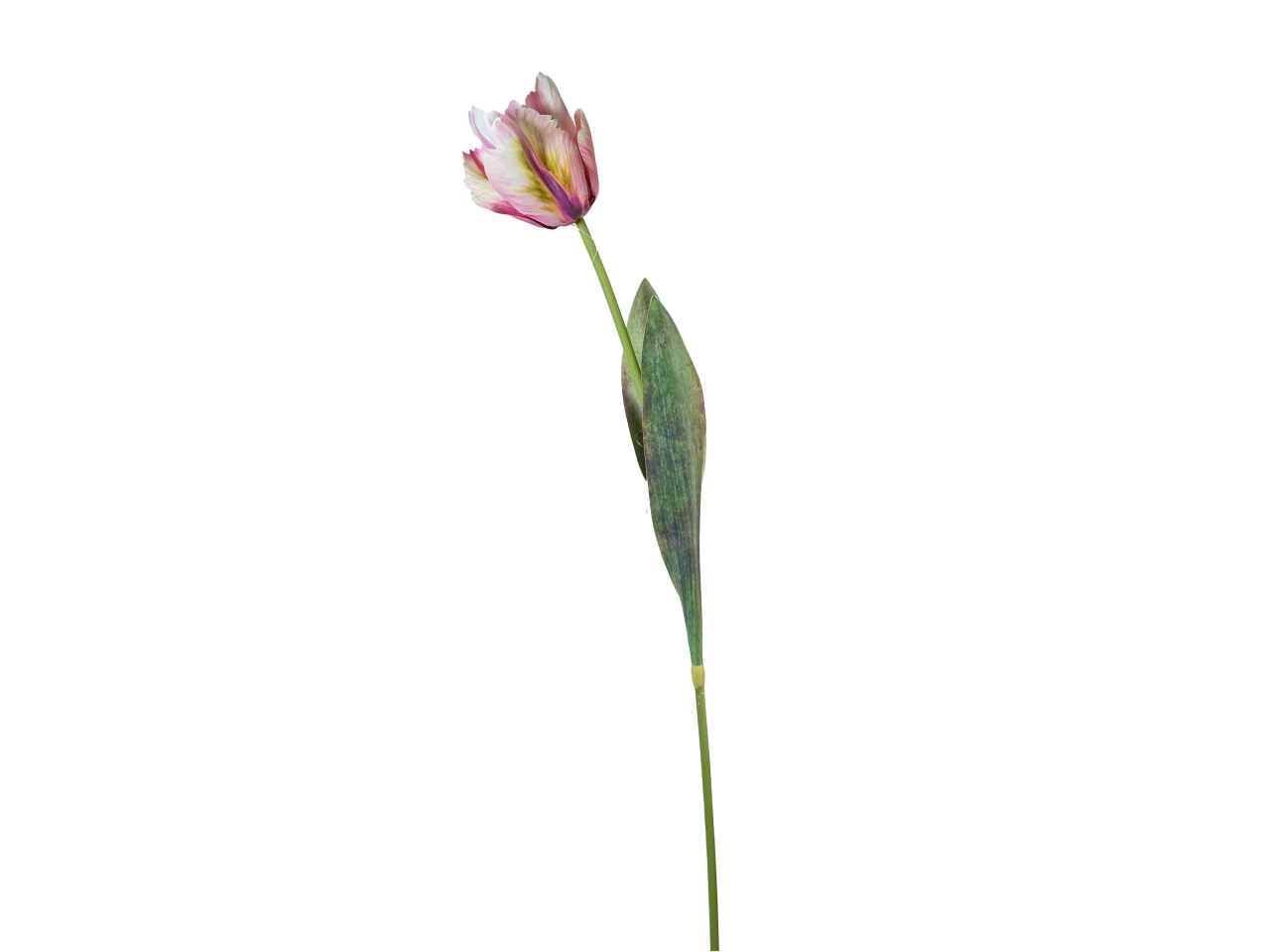 RAMO TULIPANO 70CM CREMA ROSA 18140041-92 RAMO TULIPANO 70CM CREMA ROSA 18140041-92