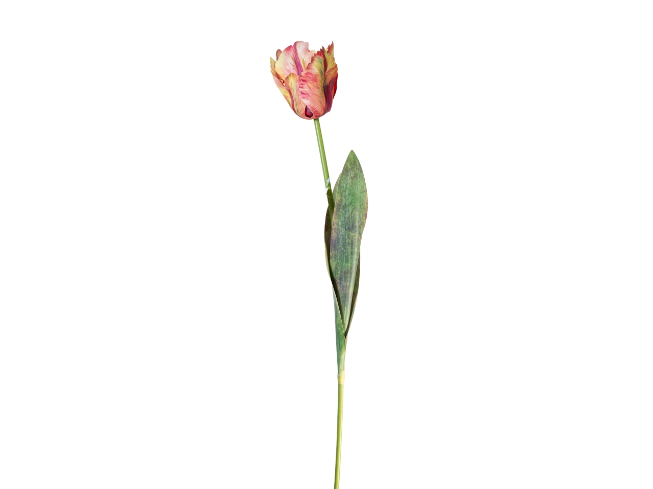 RAMO TULIPANO 70CM CORALLO 18140041-102 RAMO TULIPANO 70CM CORALLO 18140041-102