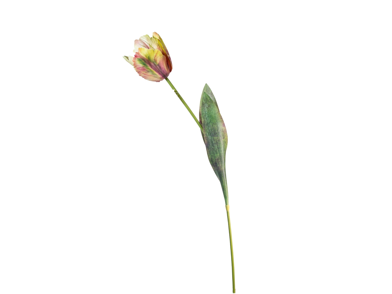 RAMO TULIPANO 70CM SENAPE 18140041-34 RAMO TULIPANO 70CM SENAPE 18140041-34