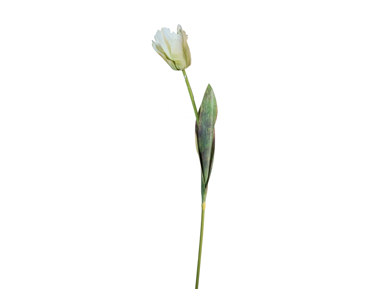 RAMO TULIPANO 70CM CREMA VERDE 18140041-96 RAMO TULIPANO 70CM CREMA VERDE 18140041-96