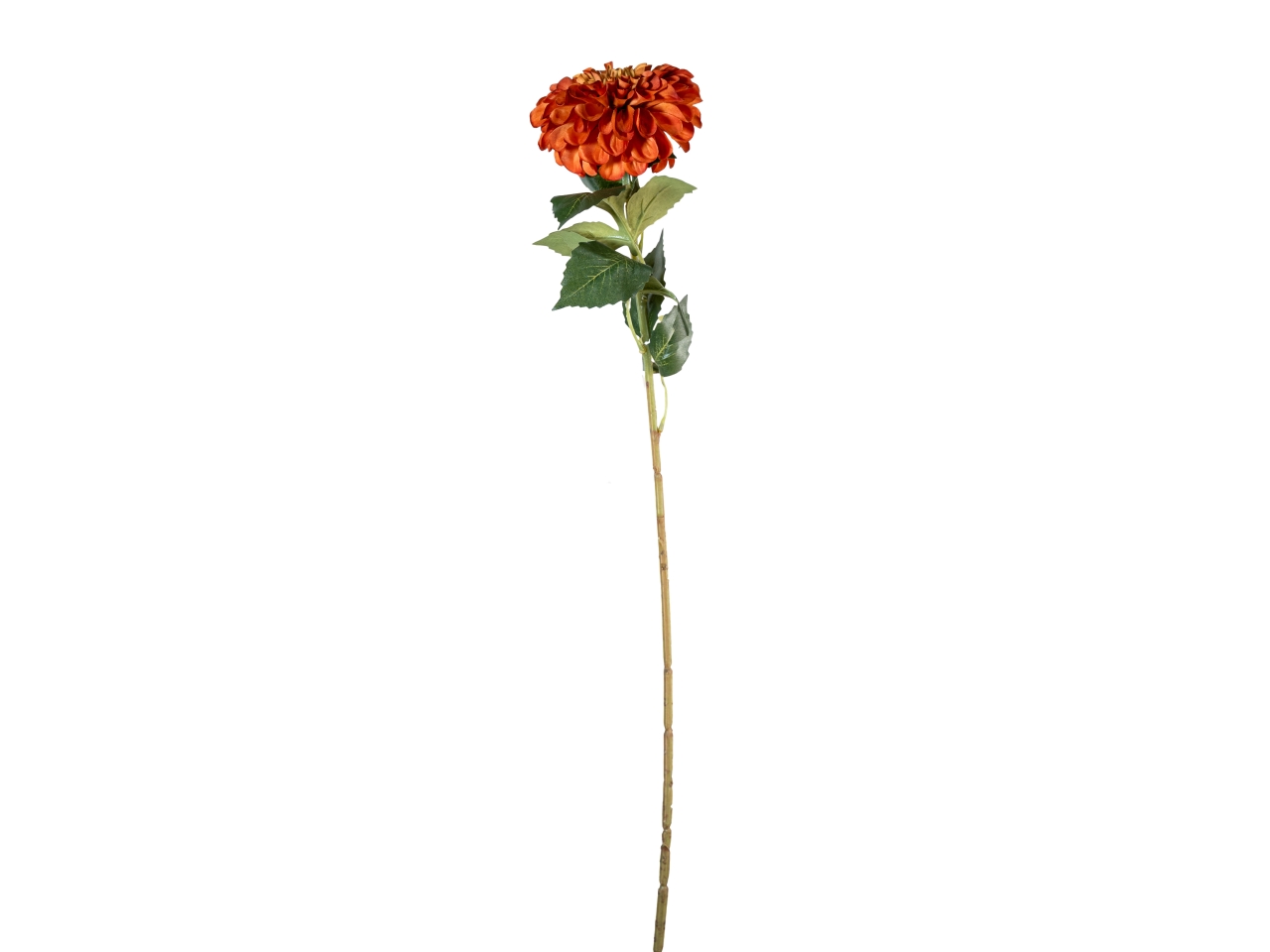 RAMO ZINNIA AUTUNNALE 70CM ARANCIONE 40000013-09 RAMO ZINNIA AUTUNNALE 70CM ARANCIONE 40000013-09