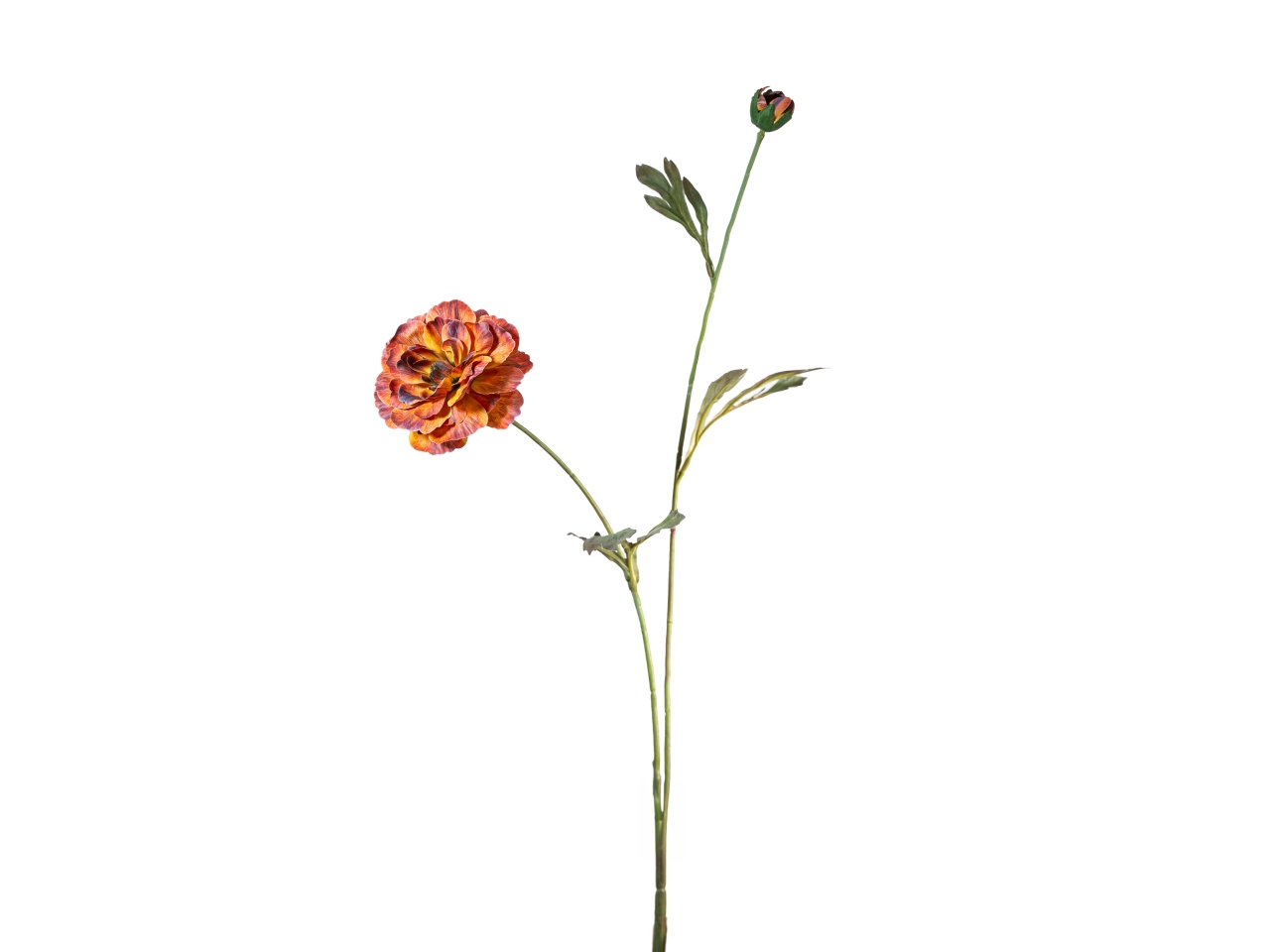 RAMO ZINNIA 72CM FIORE C/BOCC. MARRONE 18140042-28 RAMO ZINNIA 72CM FIORE C/BOCC. MARRONE 18140042-28